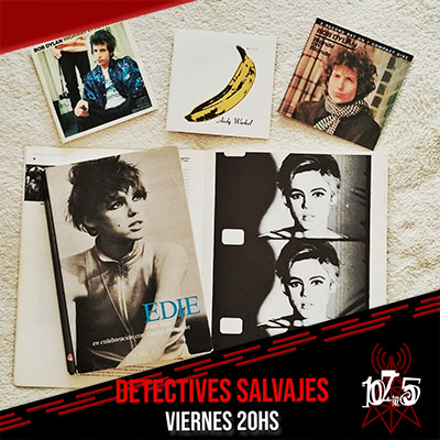 DETECTIVES SALVAJES
